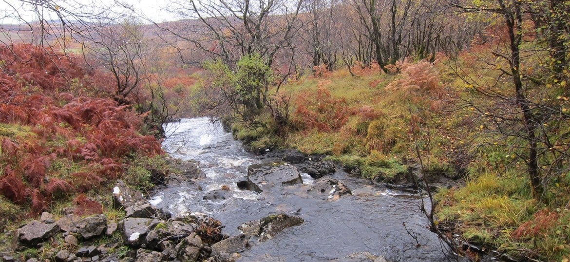 North West Mull Community Woodland Company Ltd